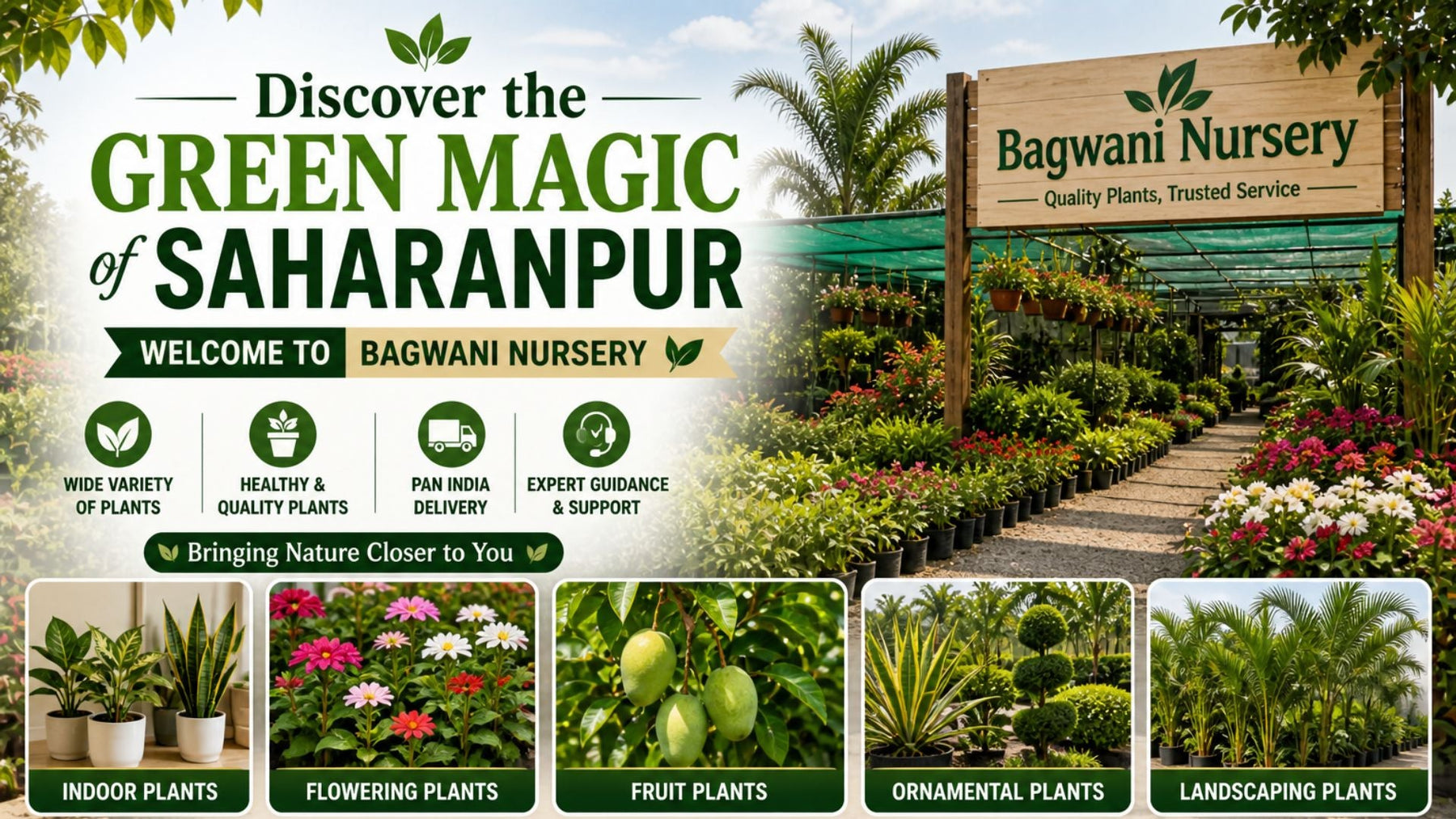 Discover the Green Magic of Saharanpur | Welcome to Bagwani Nursery (2026 Guide)