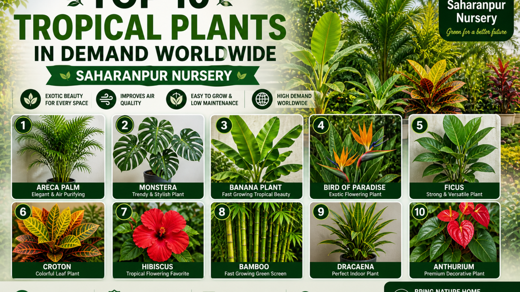 Top 10 Tropical Plants in Demand Worldwide | Saharanpur Nursery (2026 Guide)