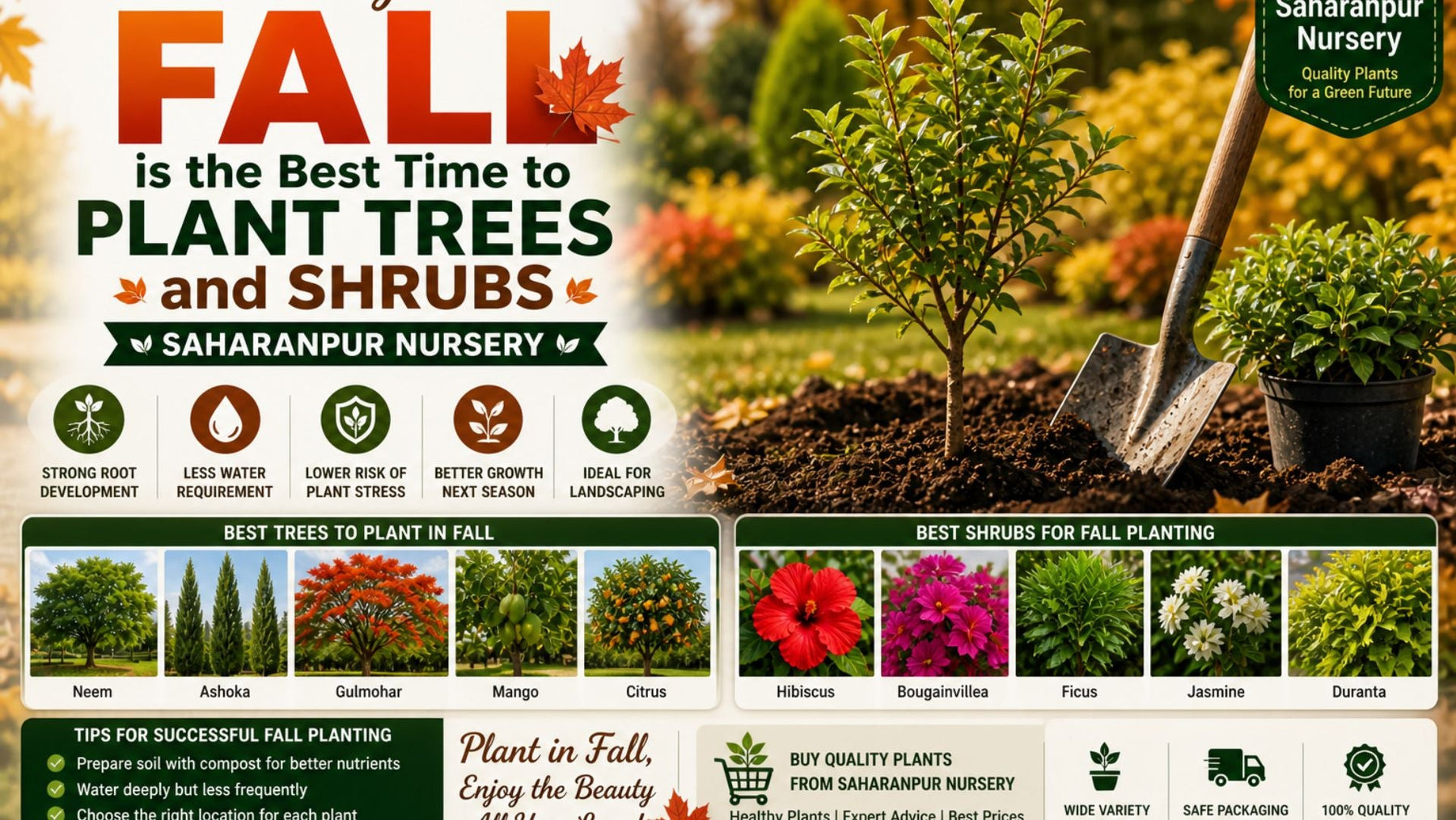 Why Fall is the Best Time to Plant Trees and Shrubs | Saharanpur Nursery (2026 Guide)