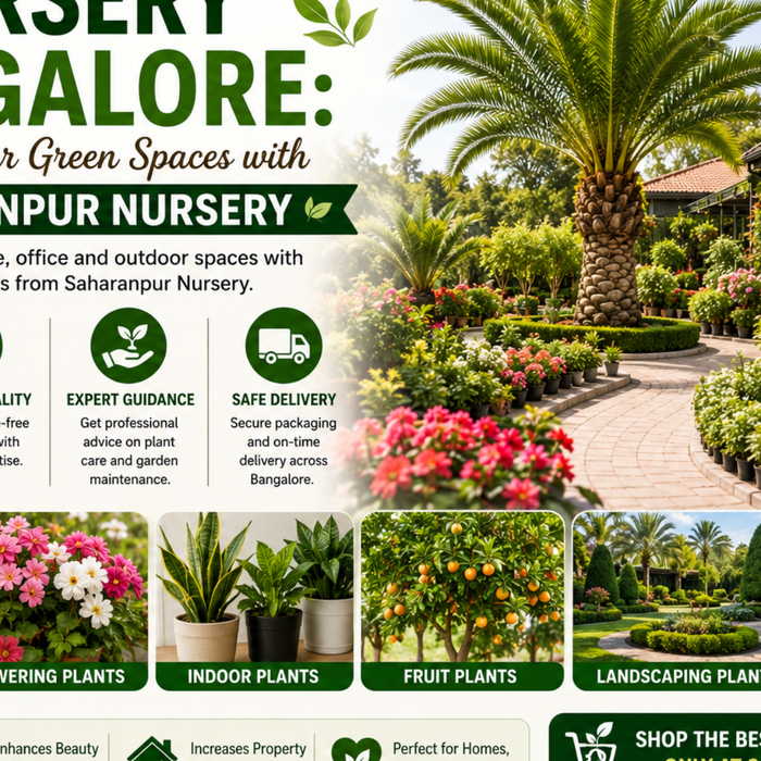 Nursery Bangalore: Elevate Your Green Spaces with Saharanpur Nursery (2026 Guide)
