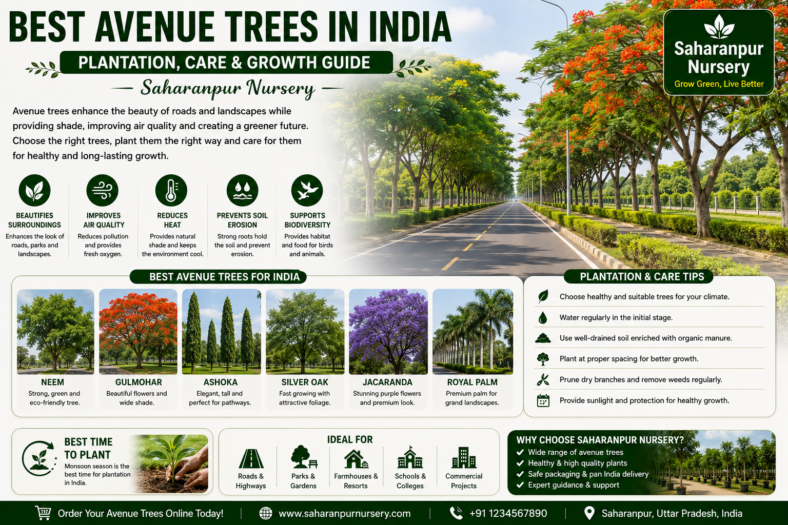 Best Avenue Trees in India | Plantation, Care &amp; Growth Guide – Saharanpur Nursery (2026 Guide)