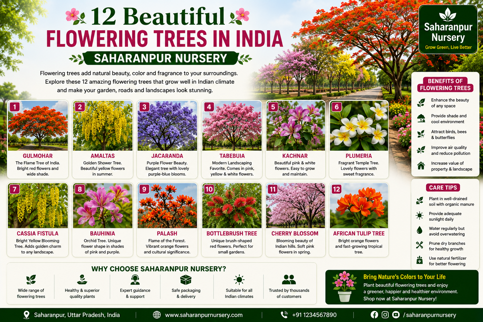 12 Beautiful Flowering Trees in India | Saharanpur Nursery (2026 Guide)