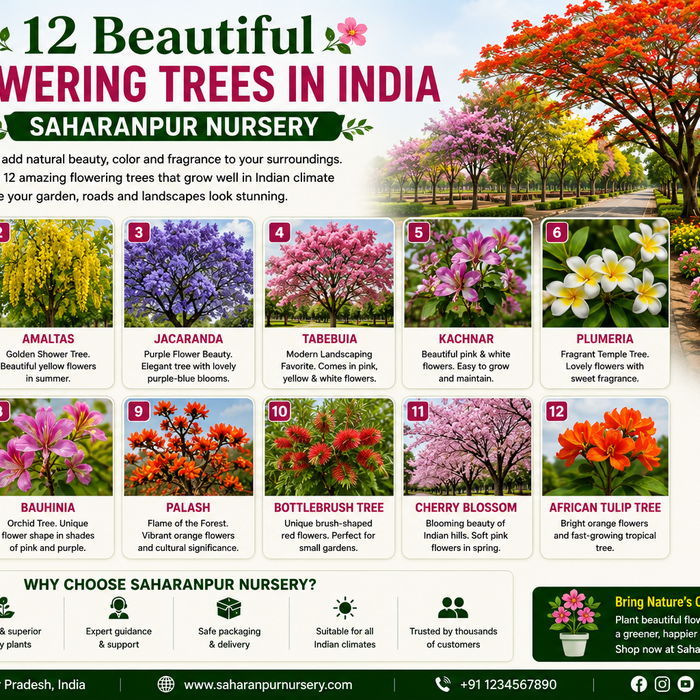 12 Beautiful Flowering Trees in India | Saharanpur Nursery (2026 Guide)