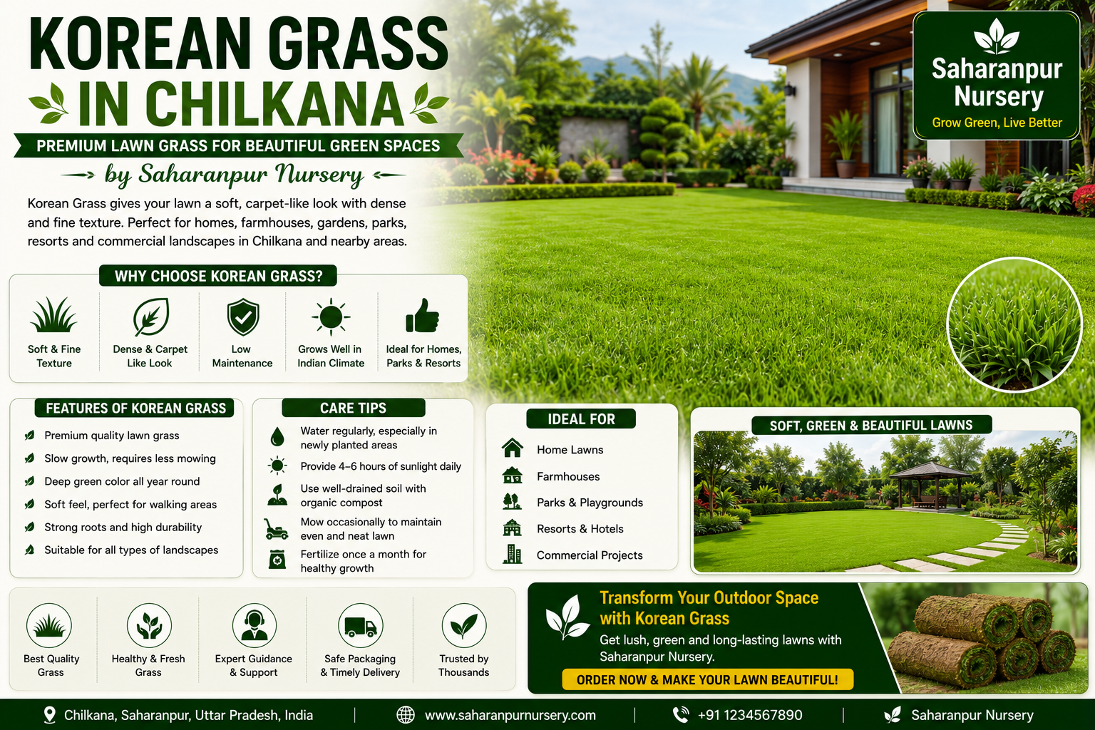 Korean Grass in Chilkana | Premium Lawn Grass Guide by Saharanpur Nursery (2026 Guide)