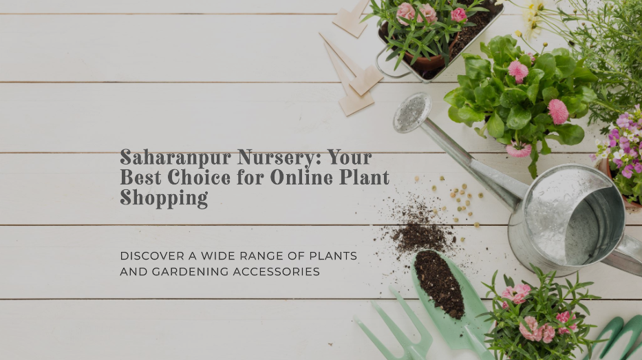 Online Plant Nursery India: Why Saharanpur Nursery is Your Best Choice