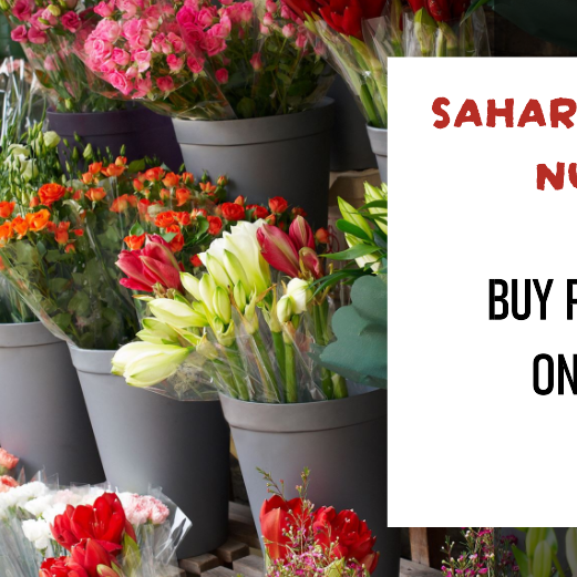 Buy Plants Online Noida: Saharanpur Nursery