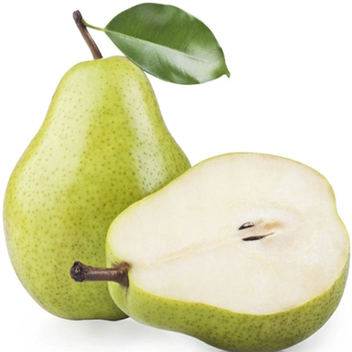 Babugosha/Indian Pear - Fruit Plants & Tree