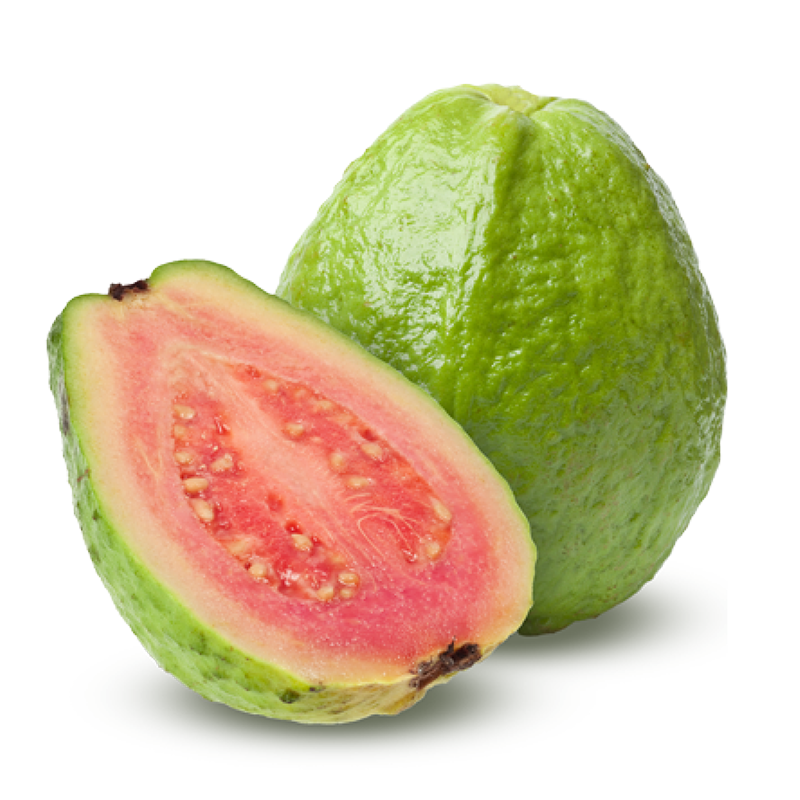 Guava Thai Red Flesh - Fruit Plants & Tree