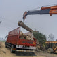 Bulk Date Palm Tree Supplier in India – Premium Quality Date Palm Tree | Saharanpur Nursery