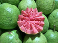 Guava Taiwan Pink Amrood Variety Fruit (Air layered/Grafted) Live Plants & Tree